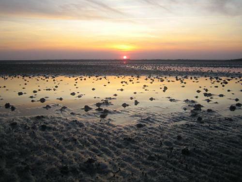 Nordsee-1