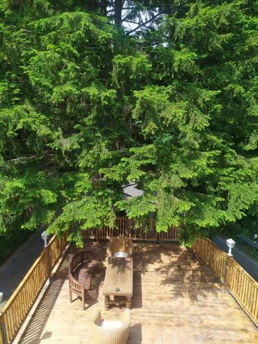 Haus Am Wald Zorge 16+ G�ste