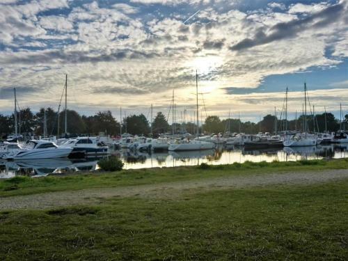 G�te Le Teich, 1 Pi�ce, 2 Personnes - Fr-1-440-385