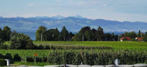 Apartamento Landhaus Vogel