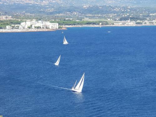 Apartamento Bel Appartement Avec Vue Mer