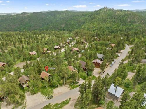 Iron Horse Cabin In Gilded Mountain