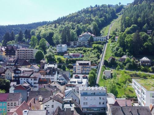 Apartamento Ferienwohnung Schwarzwaldnest