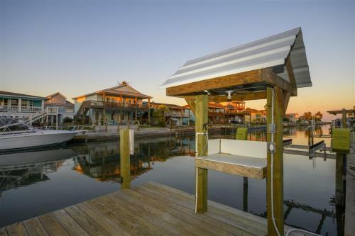 Dolphin Paradise