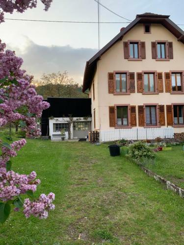 Apartamento Chez Laurence Et Claude - Vall�e de Munster