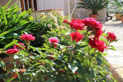 B&B La Vigna