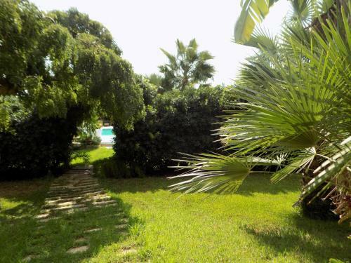 B&B Asparano
