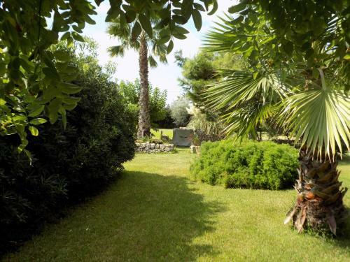 B&B Asparano