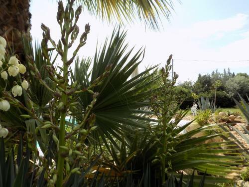 B&B Asparano