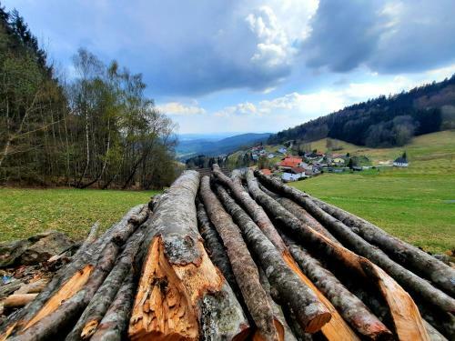 Apartamento Ferienwohnung Landhaus - Bayerischer Wald