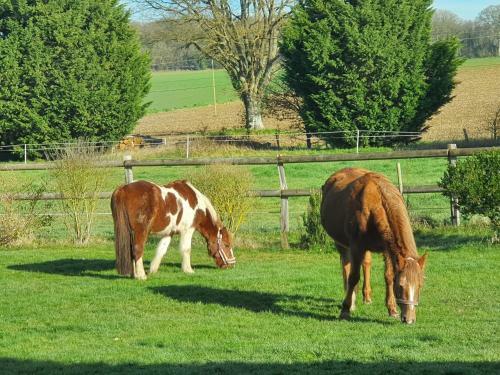 Bed & Breakfast Chambres D'h�tes De La Vall�e