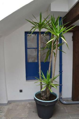 Apartamento Casa De Oro