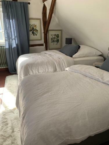 Nibelungen Premium Cottage