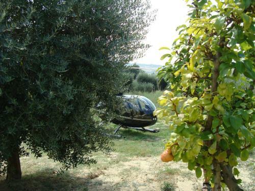 Domus Petrae Bed & Breakfast