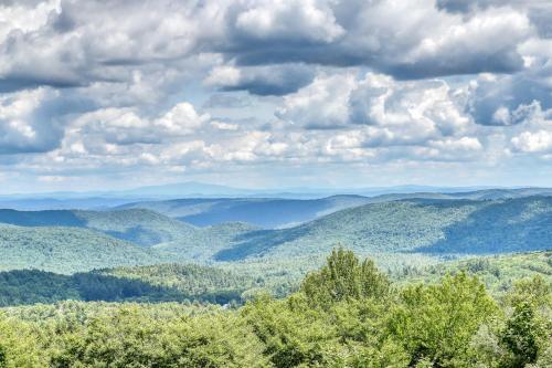 Unbeatable Forest View