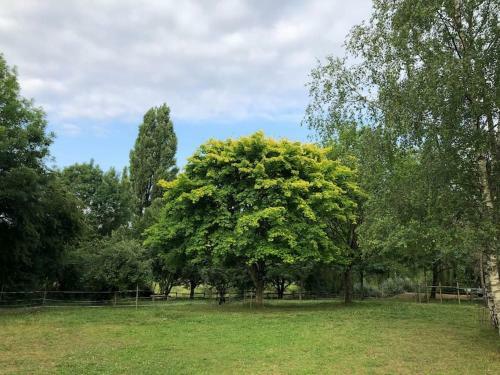 G�te Du Rossignol Entre Lac Et For�t