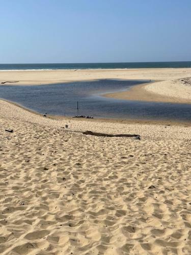 Apartamento S�jour Moliets Plage