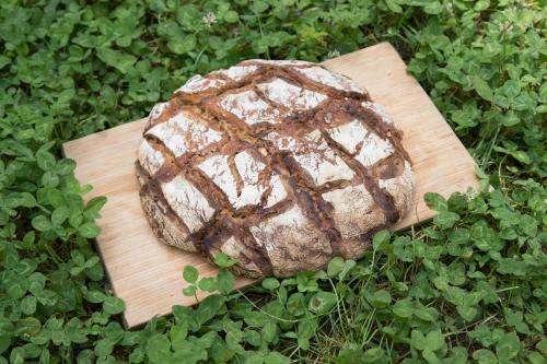 Bed & Breakfast Ch�teau de Blanqueirou, C�vennes, Gastronomie V�g�tale