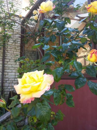Hostal B&B Villa Acero