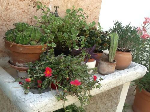 B&B Al Giardinetto