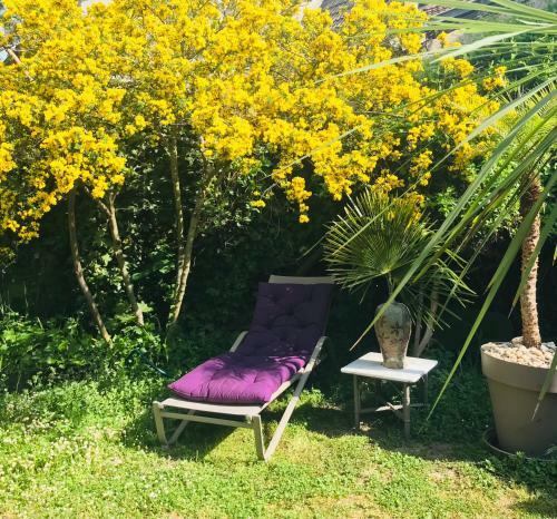 Bed & Breakfast La Maison Des Roses