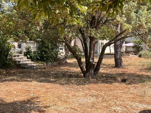 Maisonnette Ind�pendante Avec Jardin/patio