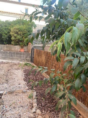 Apartamento Blanchefloralies