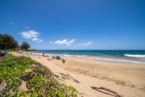Kihei Akahi D108
