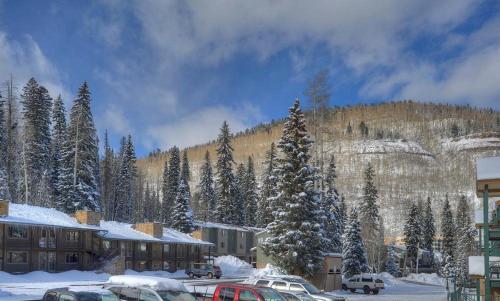 2 Br Purgatory Townhome #101