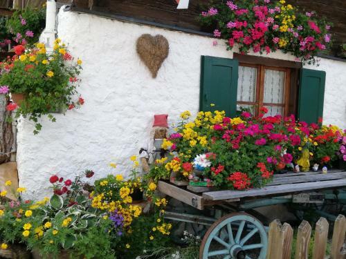 Hostal Affittacamere Maria Stella