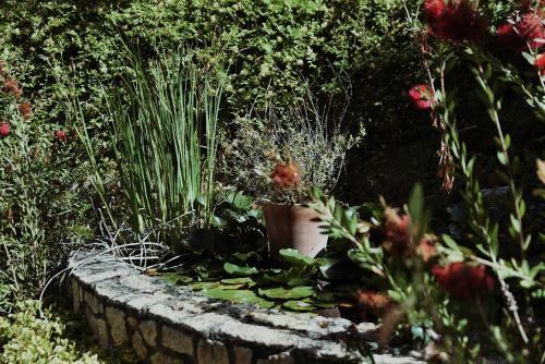 Cottage De Pepicou