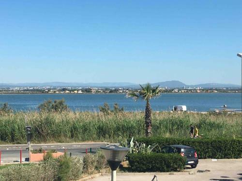 Apartamento Palavas - L'albatros