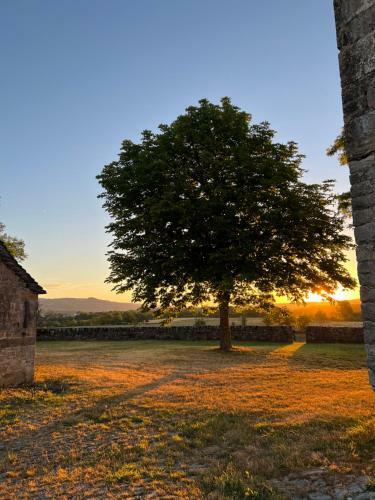 Bed & Breakfast Manoir De Bessodes