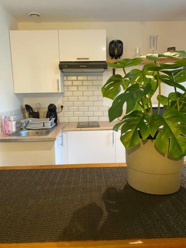 Apartamento Superbe Studio Avec Terrasse Et Parking Gratuit