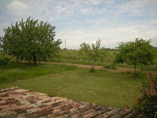 G�te Rimons, 3 Pi�ces, 5 Personnes - Fr-1-440-32