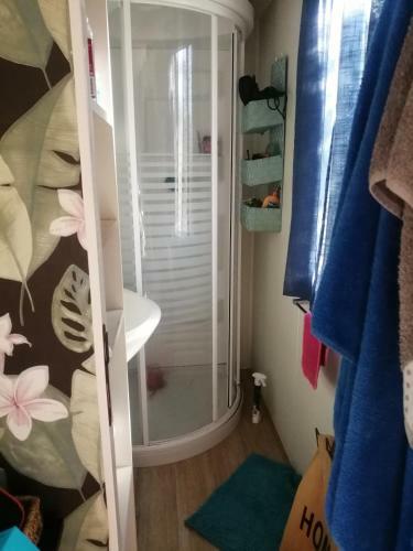Charmant Mobil Home
