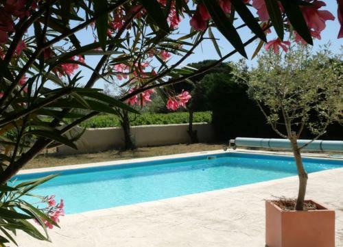 Hostal Maison D�h�tes Le Mas Des Vignes