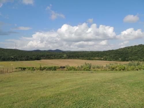 Agroturismo Agriturismo Podere Borgognano