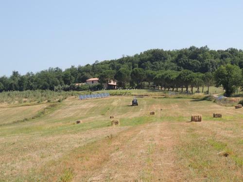 Agroturismo Agriturismo Podere Borgognano