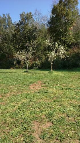 Agroturismo Agriturismo Podere Borgognano