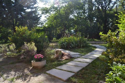Bed & Breakfast Piccolo Ulivo Ranch