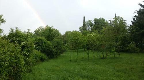 Bed & Breakfast Piccolo Ulivo Ranch