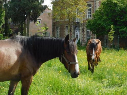 G�te Romeries, 3 Pi�ces, 5 Personnes - Fr-1-510-174