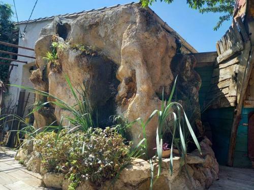 Apartamento G�te Les 3 Cathares