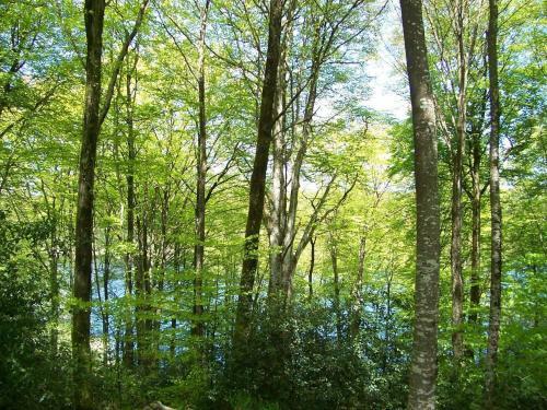 Village De G�tes La Planette - G�te 3