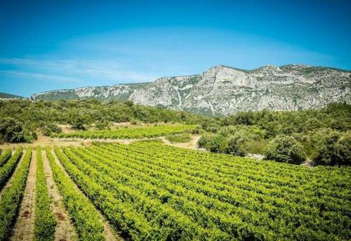 Agroturismo Bergerie de La Bu�ges