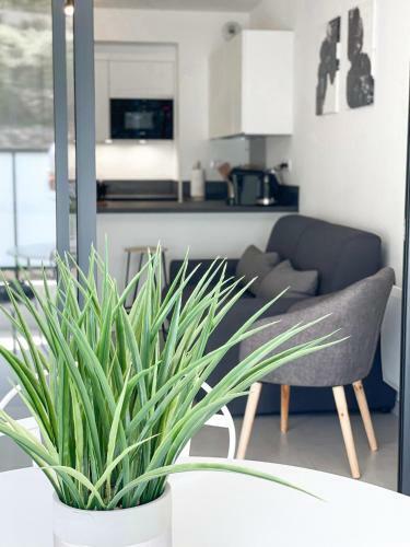 Apartamento T2 Terrasse Pres Des Plages