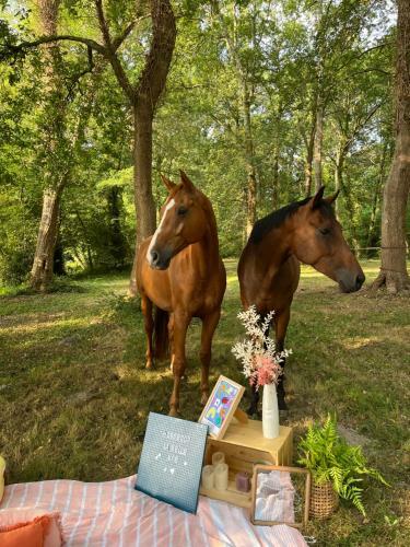 Hostal Le Ranch Kabahina Golf