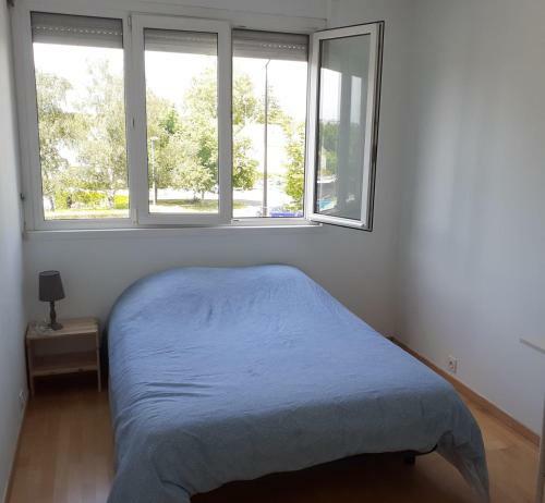 Spacious Bright Apartment Near Nantes
