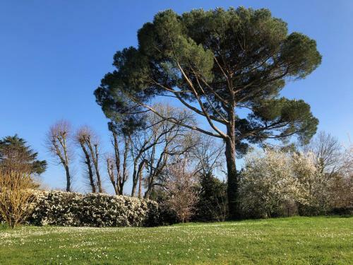 Apartamento La Suite A Chateau Franc Daut